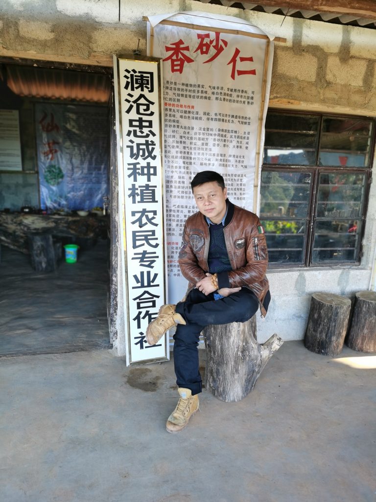 拱猪