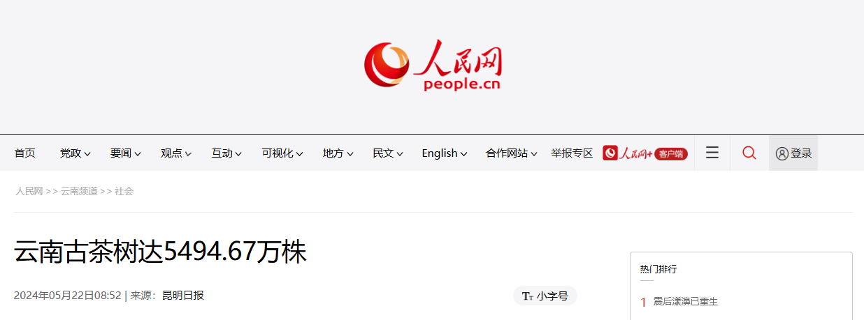 拱猪