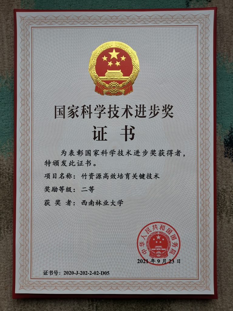 拱猪