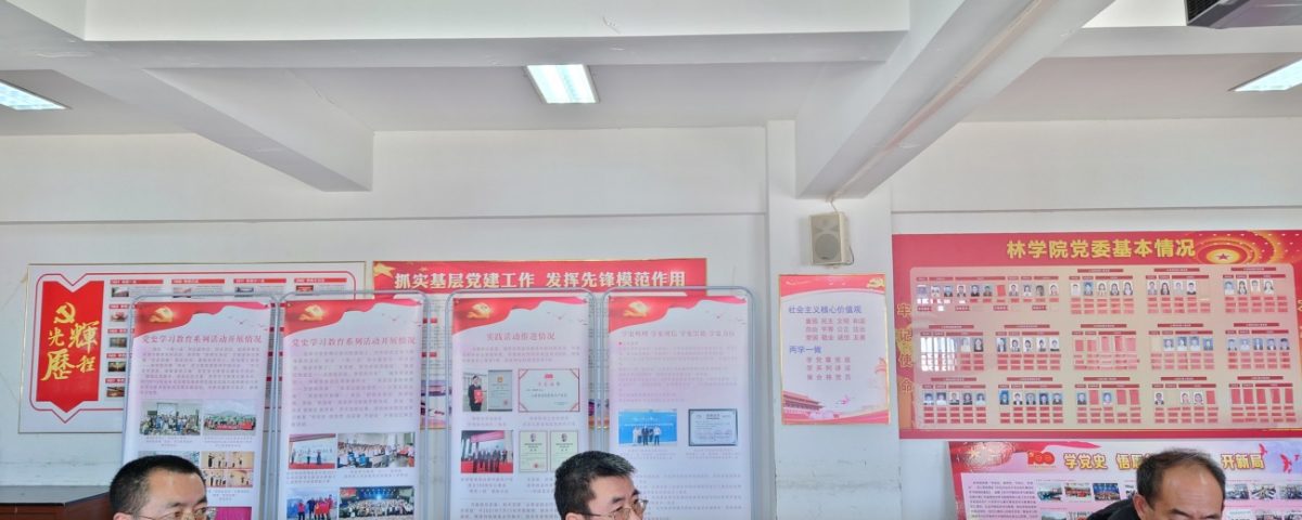 拱猪