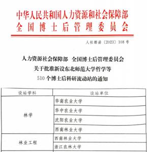 拱猪