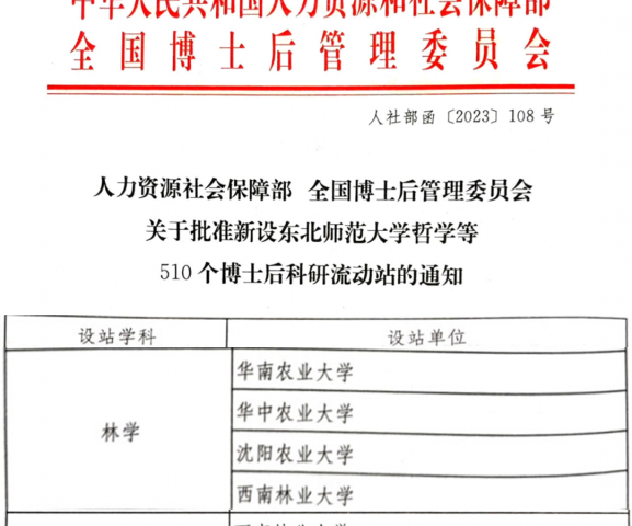 拱猪