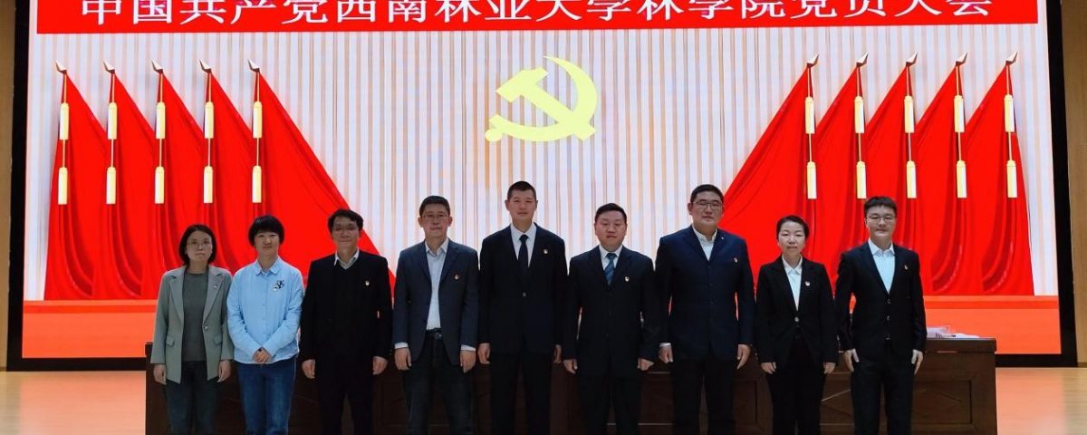 拱猪