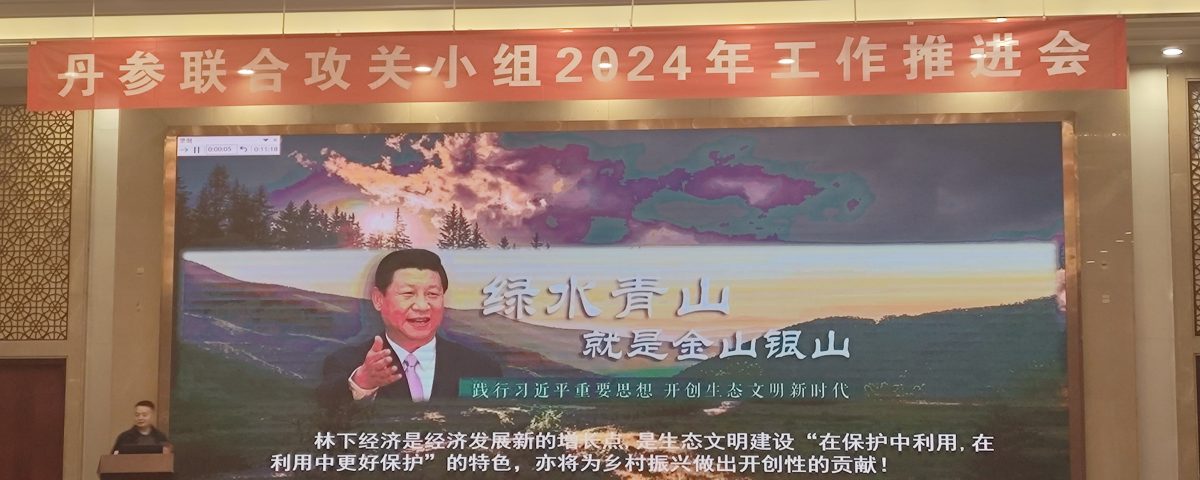 拱猪